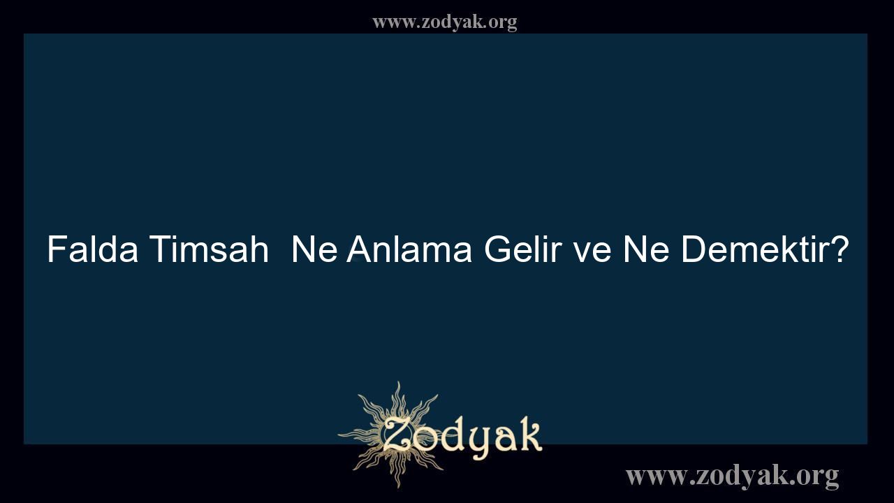 Falda Timsah  Ne Anlama Gelir ve Ne Demektir? - Otomasyon Dergisi